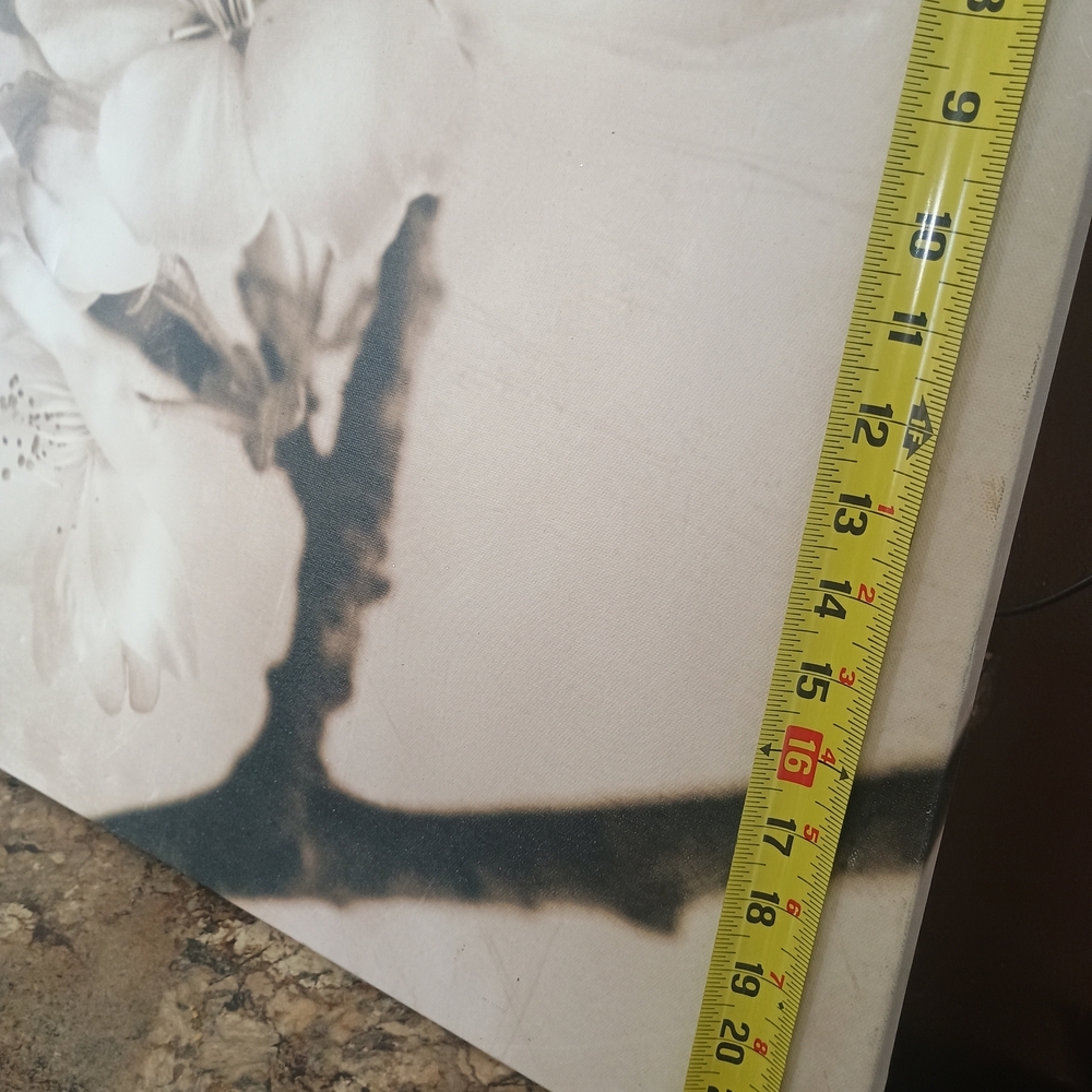 Floral Canvas Art in Cream and Brown - Picture 2 of 4